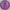 MVP Neutron Wave 172-175g 10th Anniversary Edition