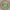 Axiom Eclipse Aspect 172-175g Halloween Team Series Simon Lizotte
