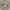 Axiom Eclipse Aspect 172-175g Halloween Team Series Simon Lizotte