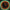 MVP Eclipse Rim Particle Proton Trail 166-168 Halloween Team Series James Conrad
