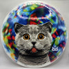 Latitude 64 Gold Diamond Kitty Trippin' DyeMax 155g-156g